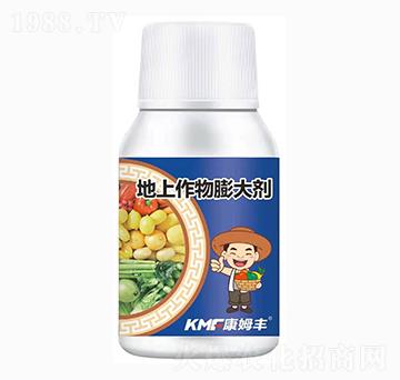 �����������-��ķ�S