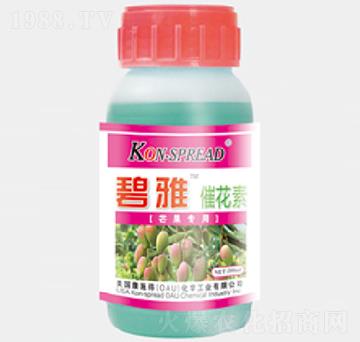 ����â�����ô߻���-��ʩ��