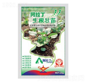 ���������-������