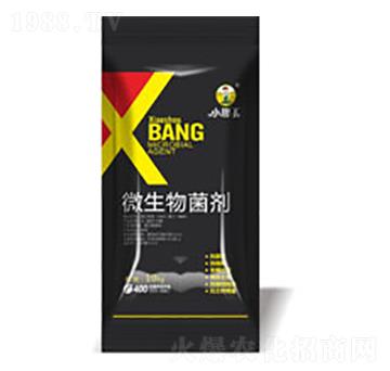 微生物菌劑-科瑞特生物