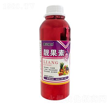 1000ml�n����-�ο�ֲ��