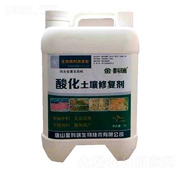 �ữ�����ޏ�(f��)��-�����