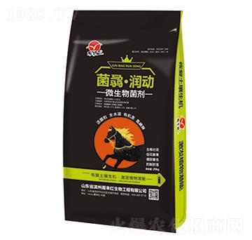 ΢�������-���T������(d��ng)-����t