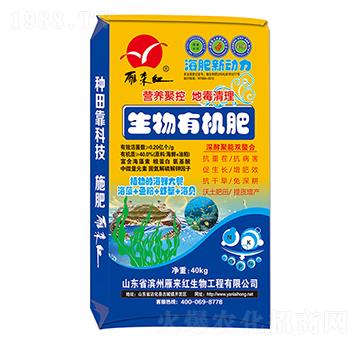 �����ЙC(j��)��-��������-����t