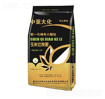 ���׉�����-�Ё���