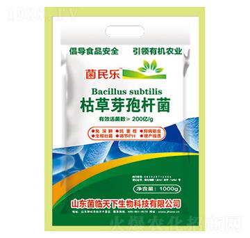 �ݲ�ѿ�ߗU�����ۄ���-���R����