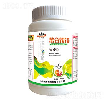 �����F�V-ɽ�|�������