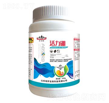 ������-ɽ�|�������