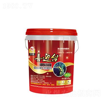 ̼ø����ͺ�΢�������-ϲӭ�_-ɽ�|�������