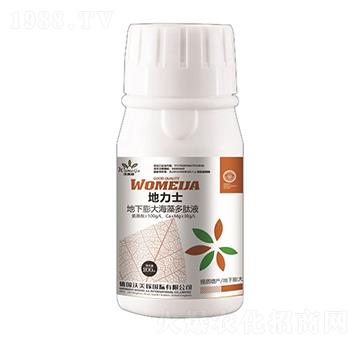 ������������Һ-����ʿ-������