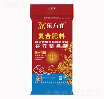 ���׌��ö�Ԫ���ϏͺϷ���24-8-10-�|����