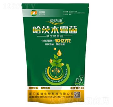 ����ľù��-�㶌��-��ֲ