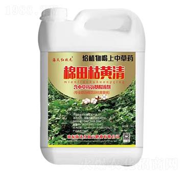 ������S��-����t��Ԫ