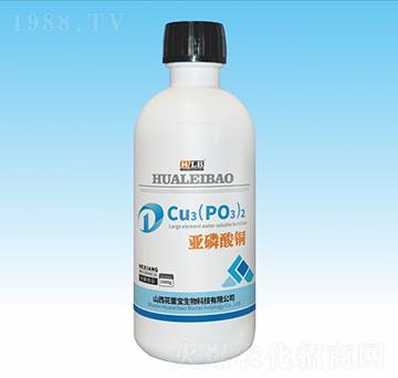 �������~-���ٌ�����