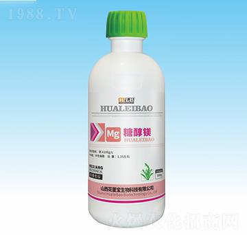 �Ǵ��V-���ٌ�����