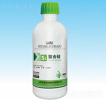 ���Ϲ�-���ٌ�����