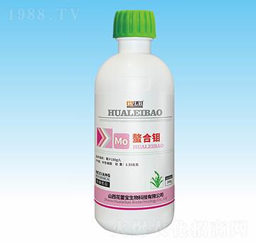 �����f-���ٌ�����