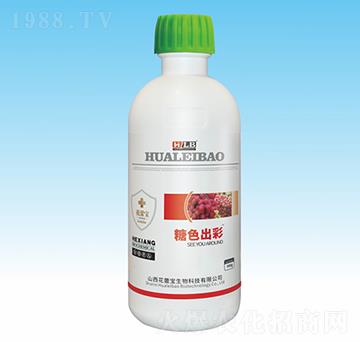 ��ɫ����-���ٌ�����