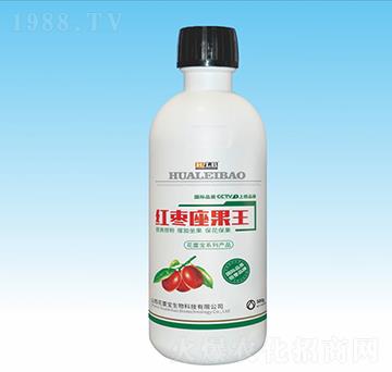 �t��������-���ٌ�����