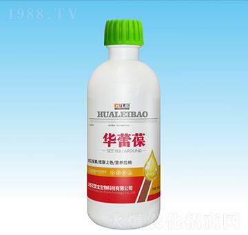 �A����-���ٌ�����