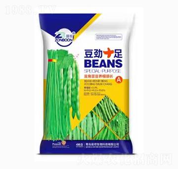 �����|���B(y��ng)����L-����ʮ��-չ��