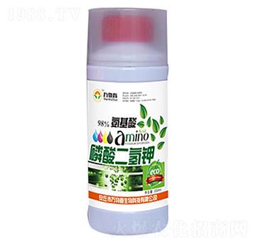 ��������������-�f(w��n)�ﴺ