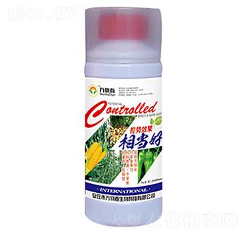 200ml�؄�Ч���ஔ��-�f�ﴺ
