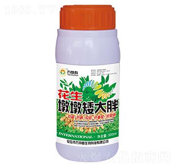 500ml�����նհ�����-�f(w��n)�ﴺ