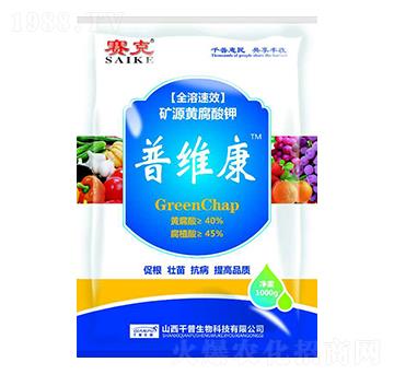 �VԴ�S�����-�վS��-ǧ������