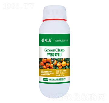 ���ٌ����~���-�վS��-ǧ������