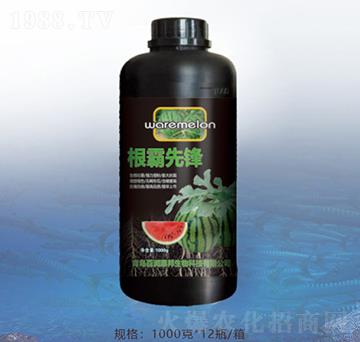 根霸先鋒-百潤惠邦