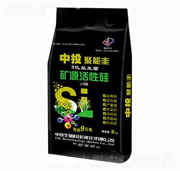 �VԴ���Թ�-��Ͷ����