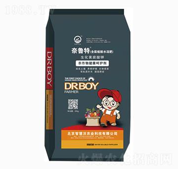 �����S�����-������-�ǻ���