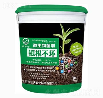 ΢�������-�y������-�ǻ���