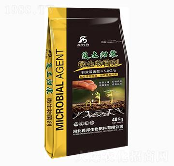 ΢�������-�����w��-�۰�����