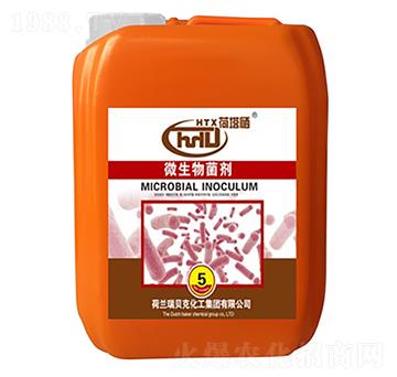 �������������-����ʿ