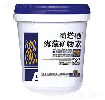 ����V����-����ʿ