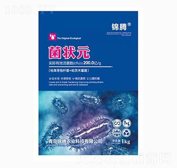 �ݲ�ѿ�ߗU��+����ľù��-����Ԫ-�\�v�r(n��ng)�I(y��)