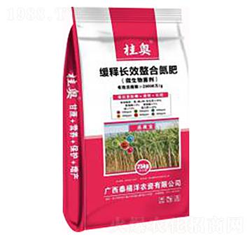 ����L(zh��ng)Ч���ϵ���-̩����