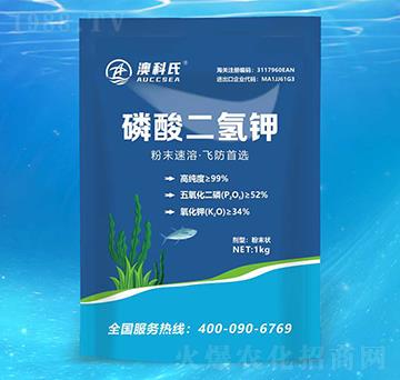 �w����������-�Ŀ���