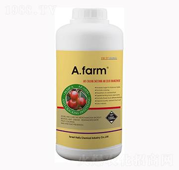 ����������ɫ��