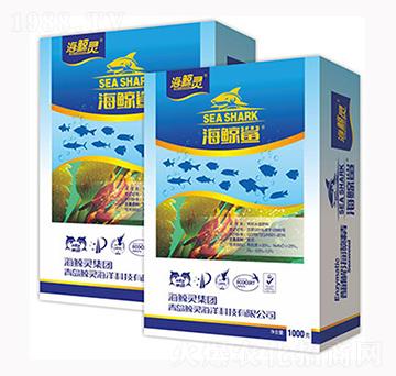 ���L�����徫-�L�`