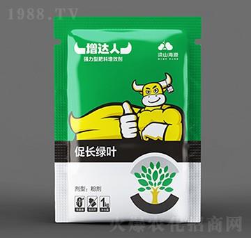 ���L�G�~�~���-���_(d��)��-��Դ����