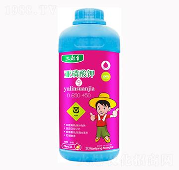 �������0-650-450-������-�f���r��