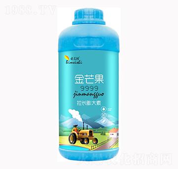 ��â�����L�����-�����r-�f���r��