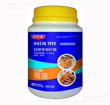 С�t���ݲ�ѿ�ߗU��-�f���r��