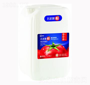 ���t������΢�������-�fʥ��ñ-�f���r��