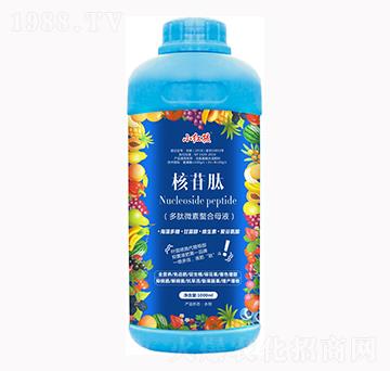 �����-С�t��-�f���r��