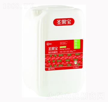 ΢�������-ʥ����-�f���r��