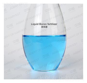 Һ�w��-����˹����